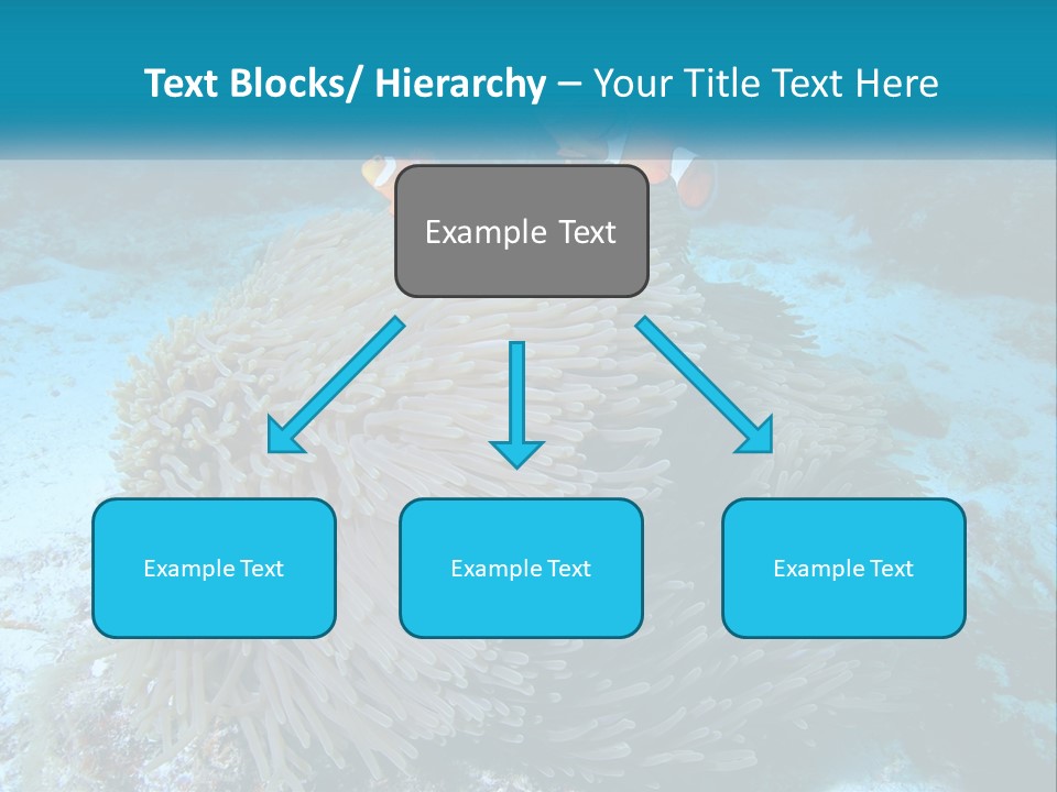 Two Clown Fish On A Coral Powerpoint Template PowerPoint Template