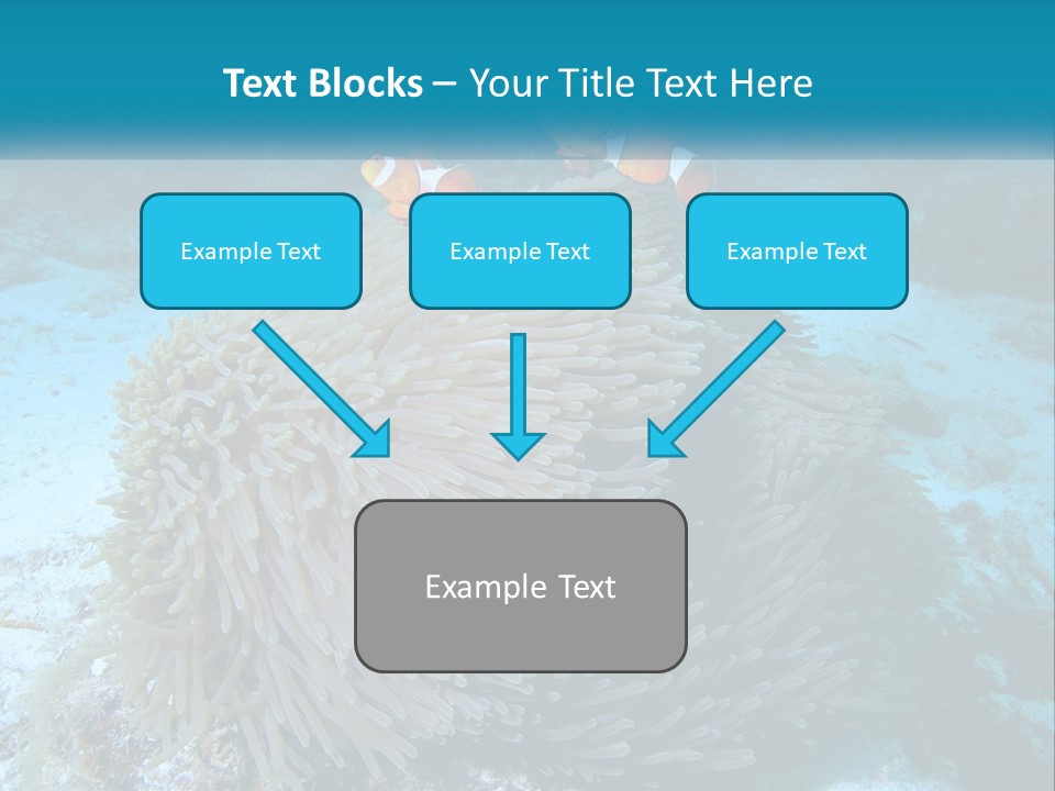Two Clown Fish On A Coral Powerpoint Template PowerPoint Template
