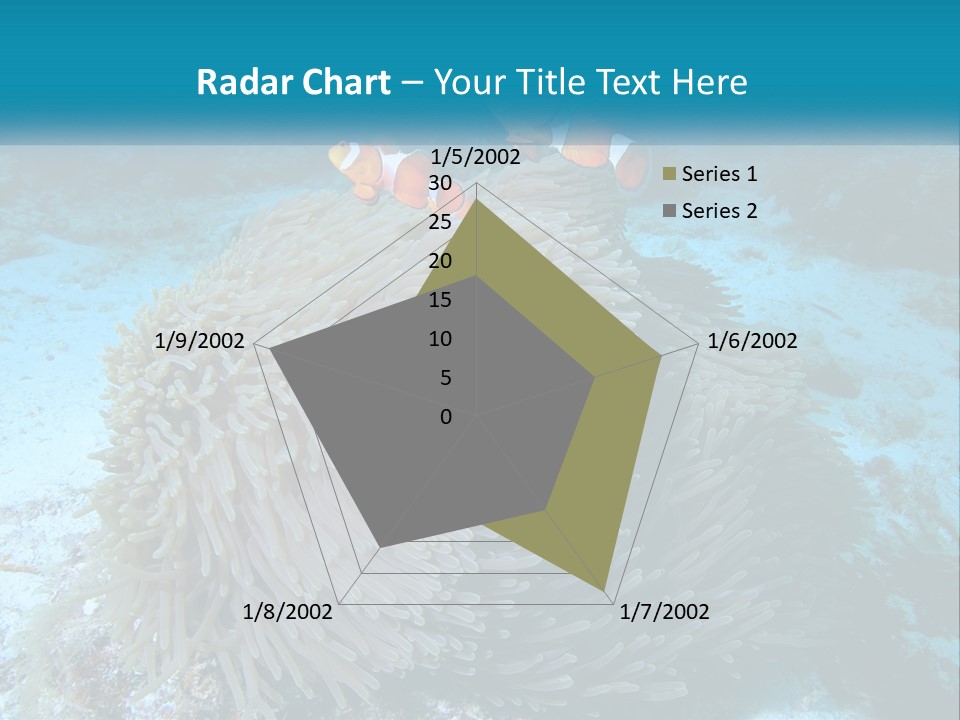 Two Clown Fish On A Coral Powerpoint Template PowerPoint Template