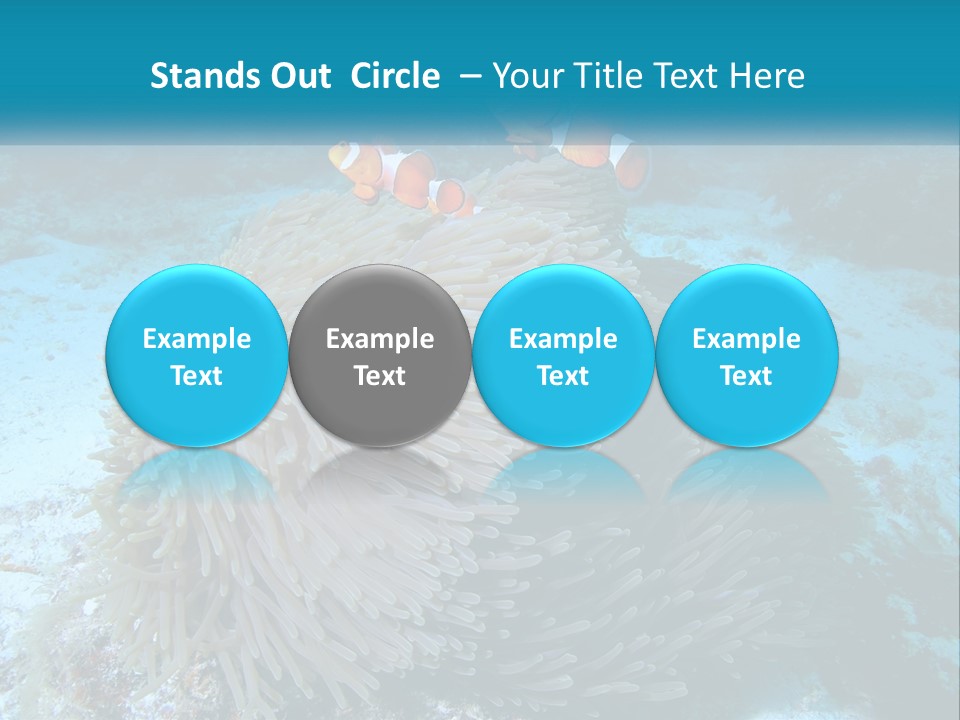 Two Clown Fish On A Coral Powerpoint Template PowerPoint Template