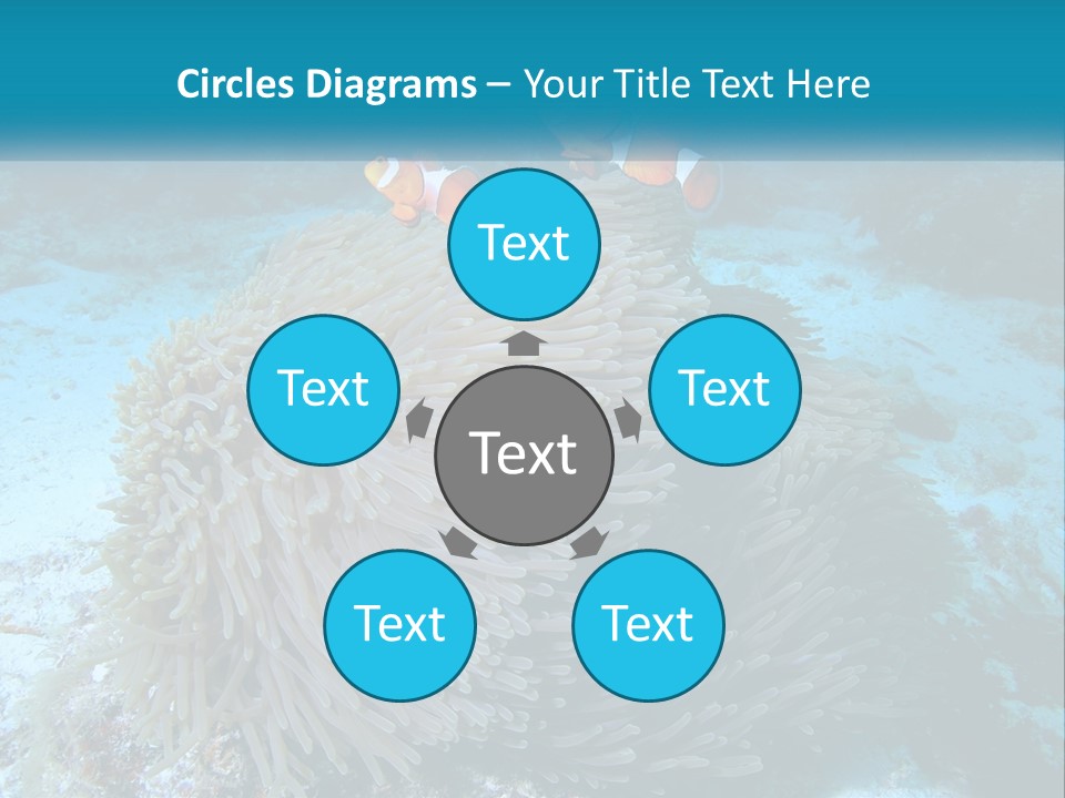 Two Clown Fish On A Coral Powerpoint Template PowerPoint Template