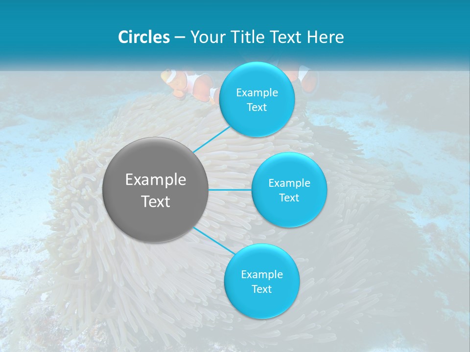 Two Clown Fish On A Coral Powerpoint Template PowerPoint Template