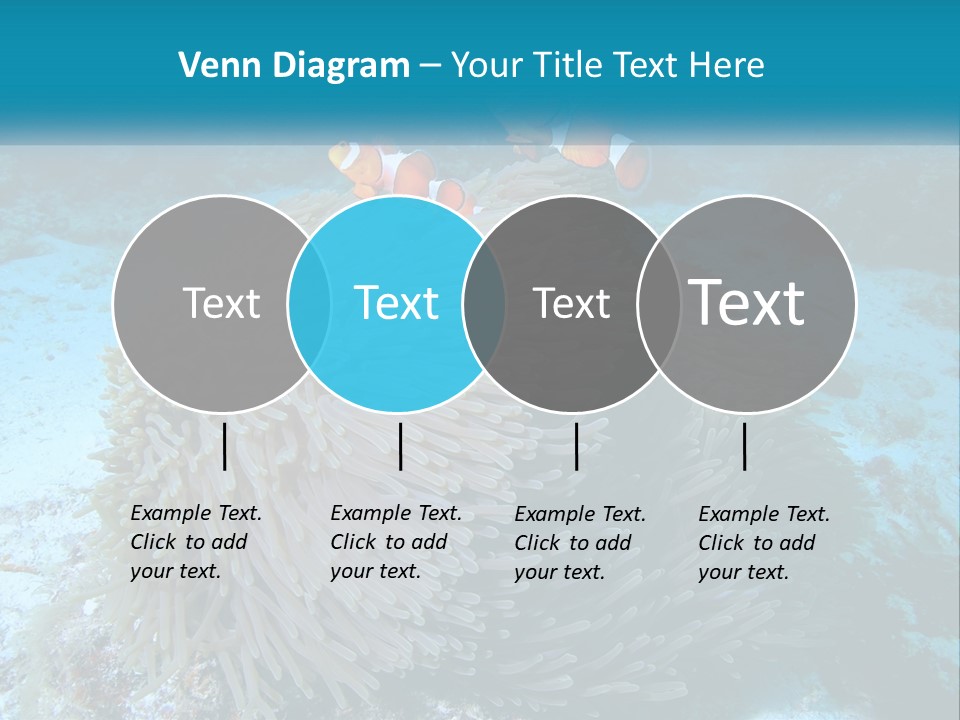 Two Clown Fish On A Coral Powerpoint Template PowerPoint Template