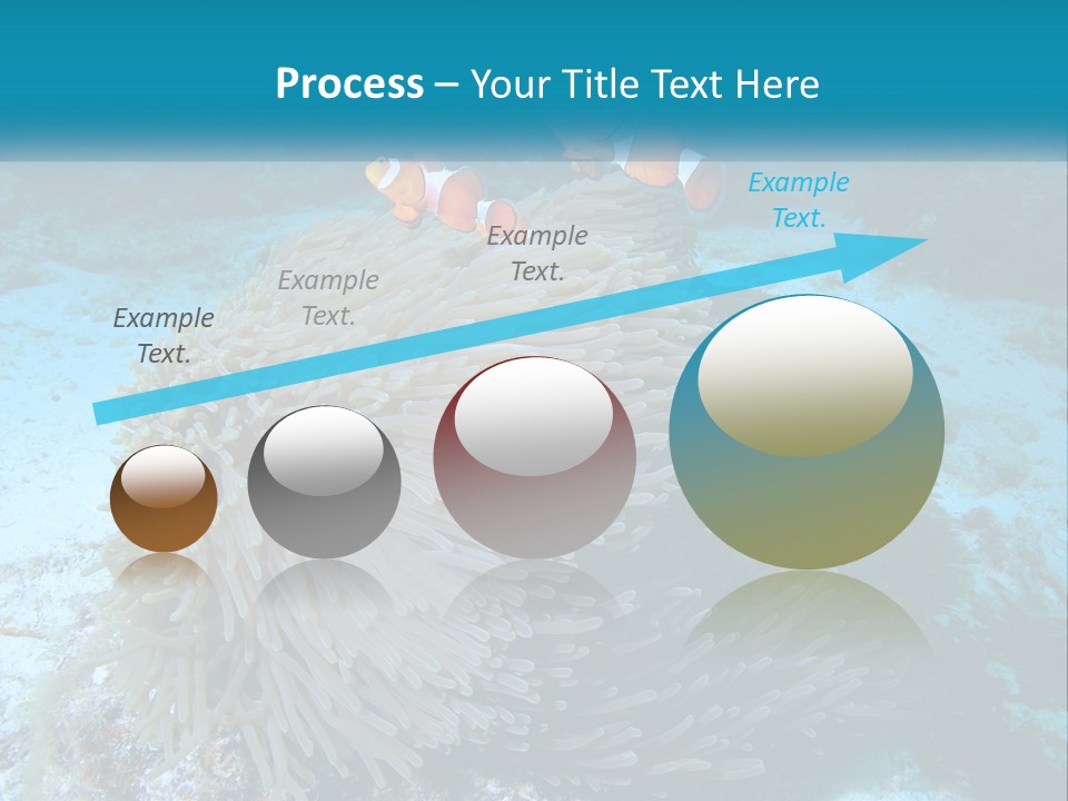 Two Clown Fish On A Coral Powerpoint Template PowerPoint Template