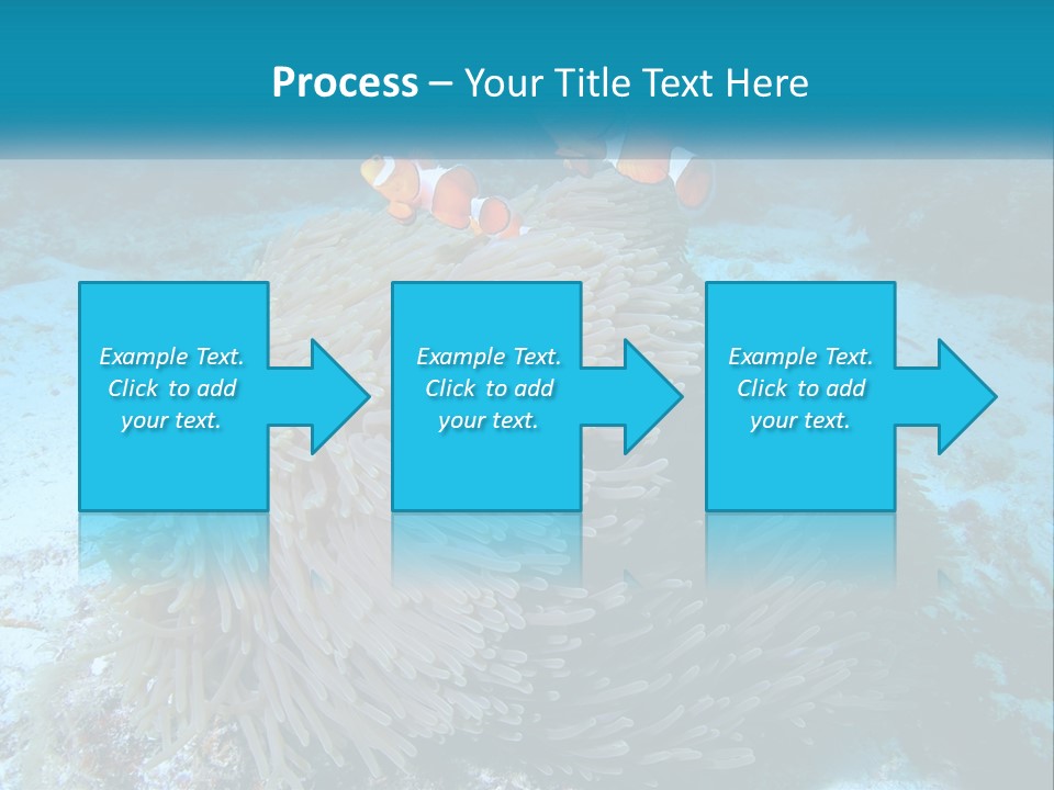 Two Clown Fish On A Coral Powerpoint Template PowerPoint Template