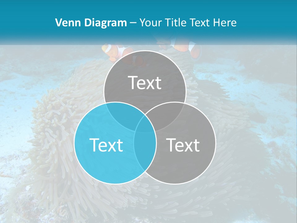 Two Clown Fish On A Coral Powerpoint Template PowerPoint Template