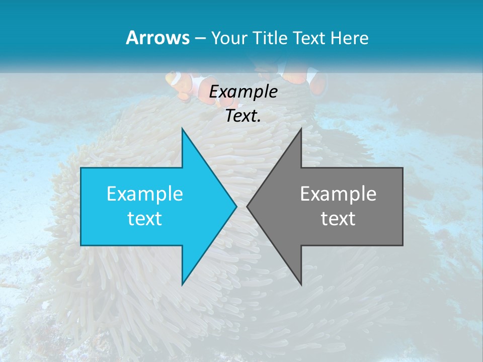 Two Clown Fish On A Coral Powerpoint Template PowerPoint Template