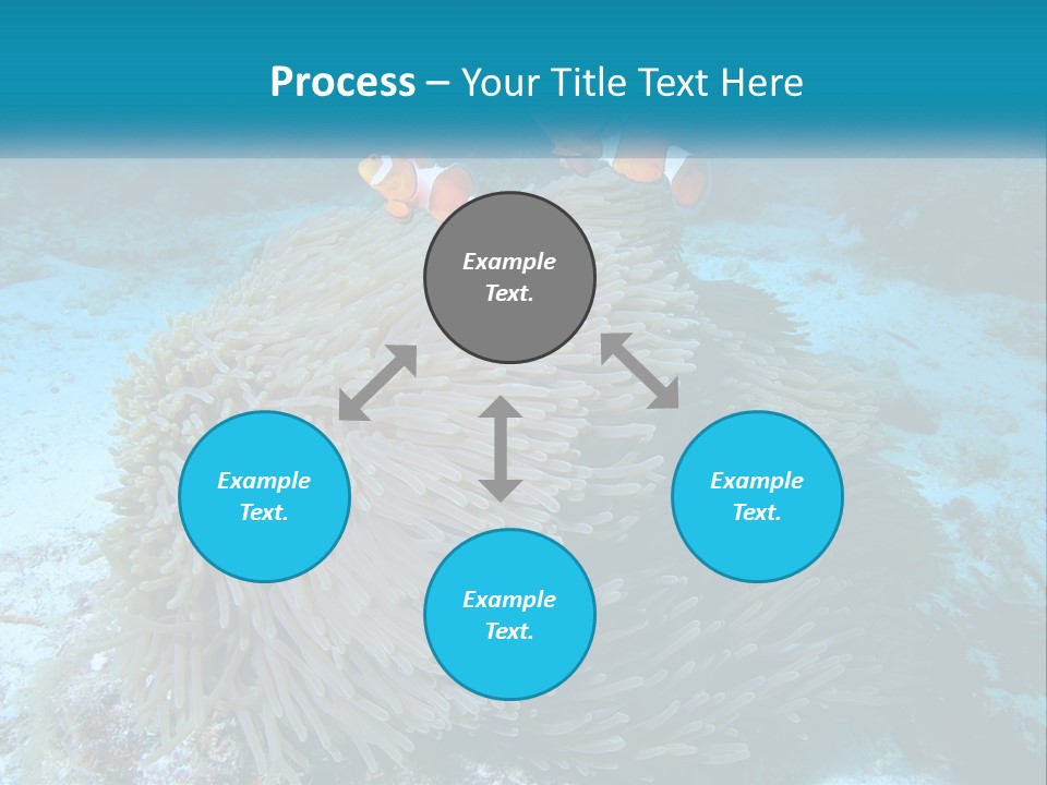 Two Clown Fish On A Coral Powerpoint Template PowerPoint Template