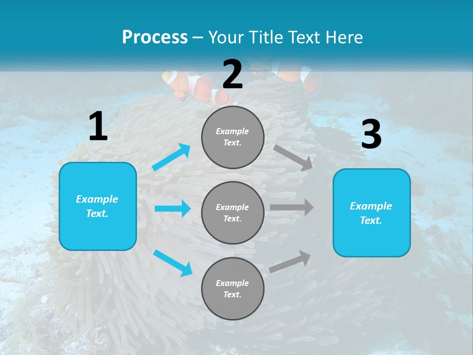 Two Clown Fish On A Coral Powerpoint Template PowerPoint Template