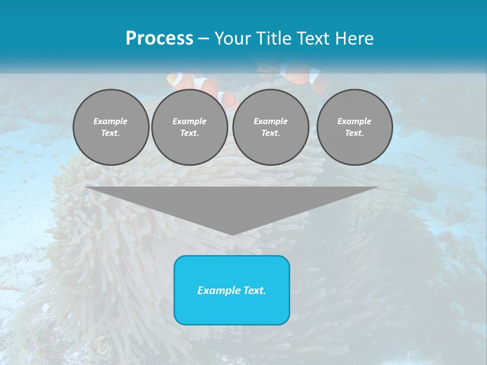 Two Clown Fish On A Coral Powerpoint Template PowerPoint Template