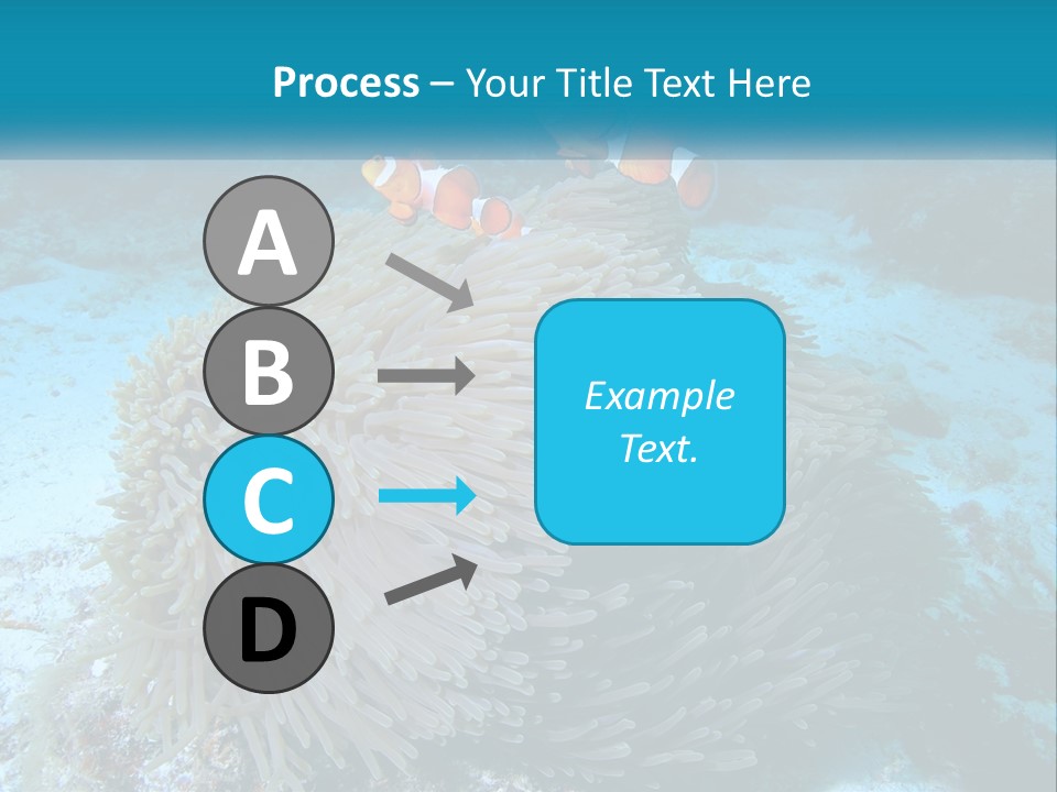 Two Clown Fish On A Coral Powerpoint Template PowerPoint Template