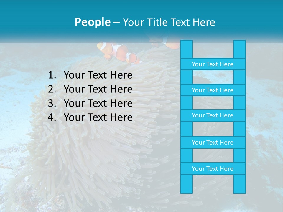 Two Clown Fish On A Coral Powerpoint Template PowerPoint Template