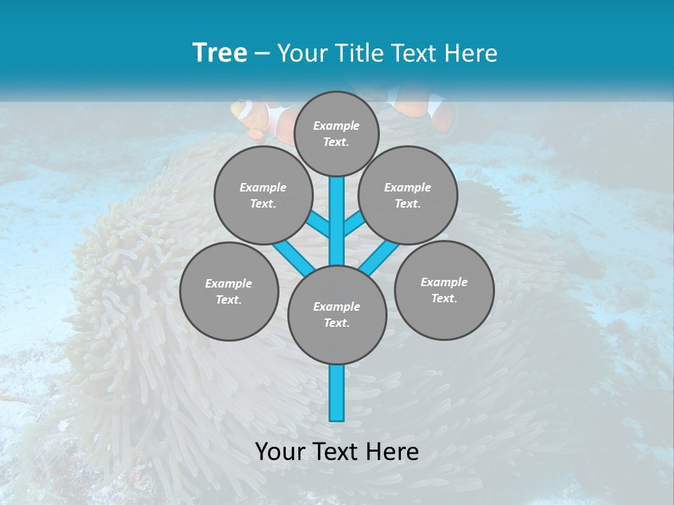 Two Clown Fish On A Coral Powerpoint Template PowerPoint Template