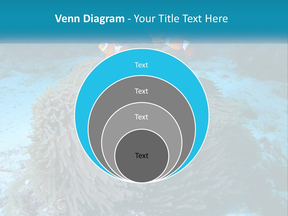 Two Clown Fish On A Coral Powerpoint Template PowerPoint Template