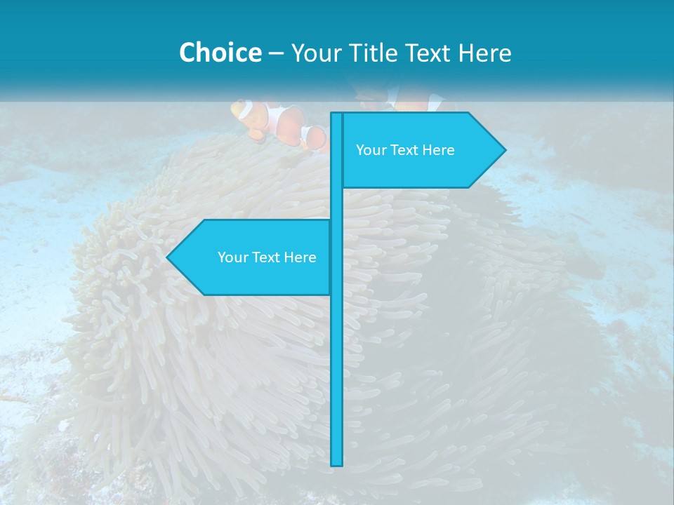 Two Clown Fish On A Coral Powerpoint Template PowerPoint Template