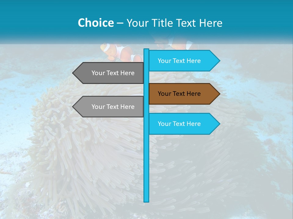 Two Clown Fish On A Coral Powerpoint Template PowerPoint Template