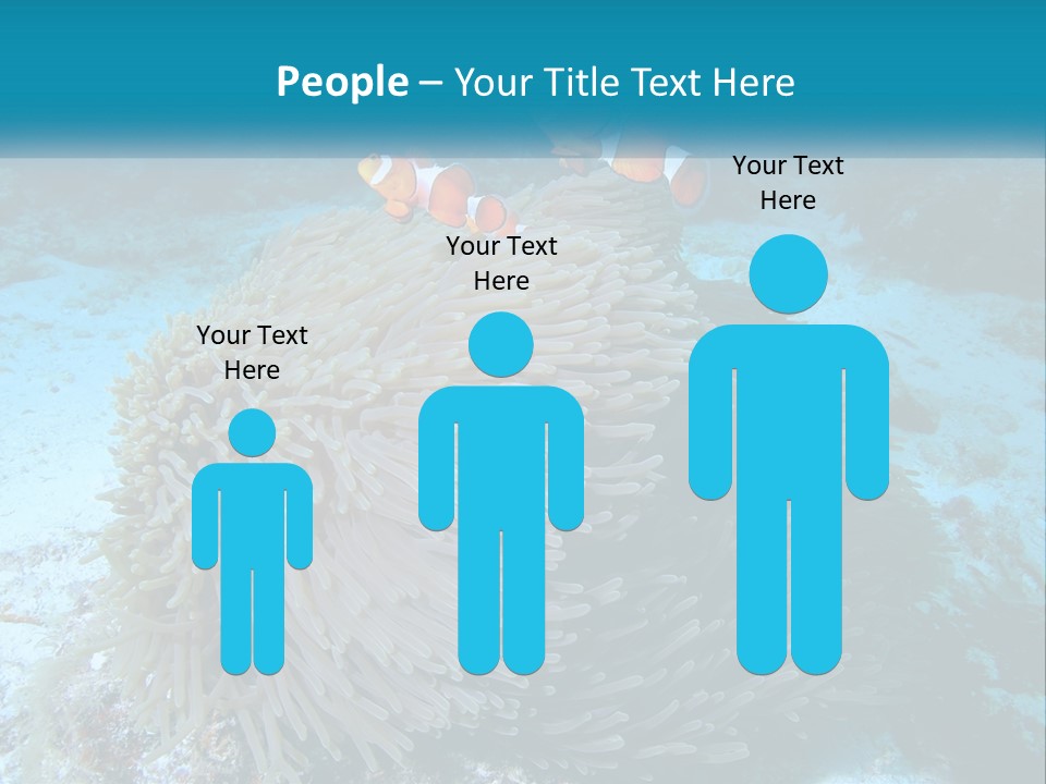 Two Clown Fish On A Coral Powerpoint Template PowerPoint Template