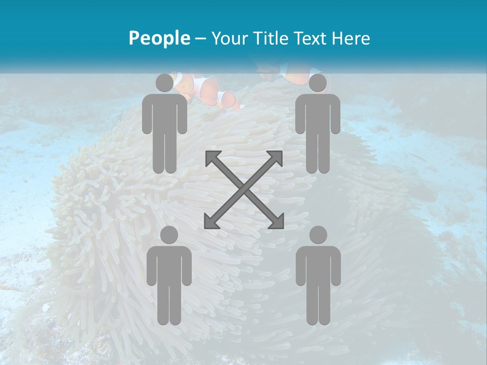 Two Clown Fish On A Coral Powerpoint Template PowerPoint Template