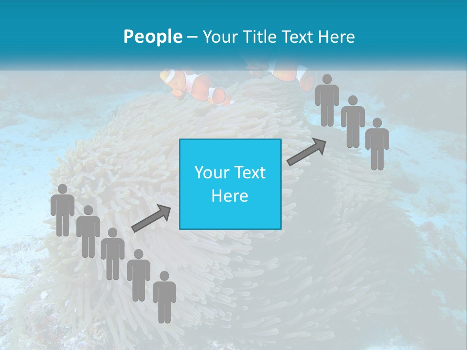 Two Clown Fish On A Coral Powerpoint Template PowerPoint Template