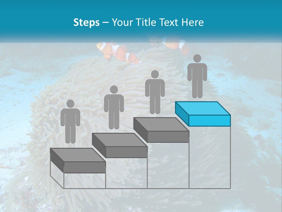 Two Clown Fish On A Coral Powerpoint Template PowerPoint Template