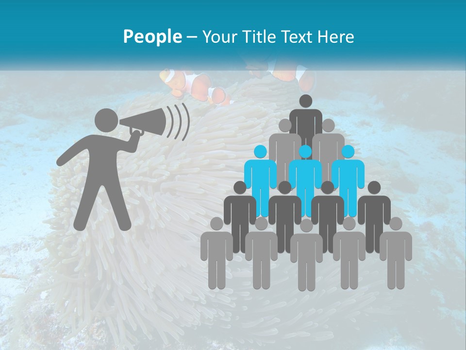 Two Clown Fish On A Coral Powerpoint Template PowerPoint Template