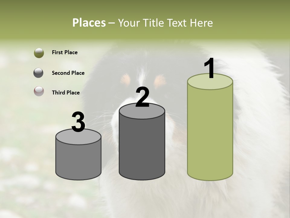 A Black And White Dog With His Mouth Open PowerPoint Template