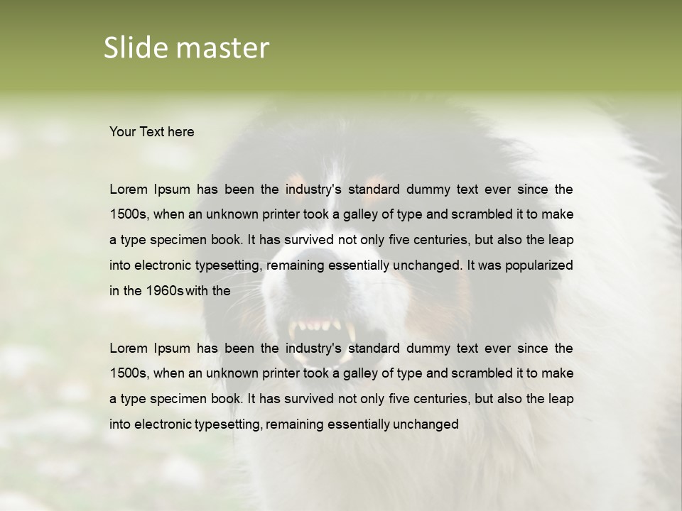 A Black And White Dog With His Mouth Open PowerPoint Template