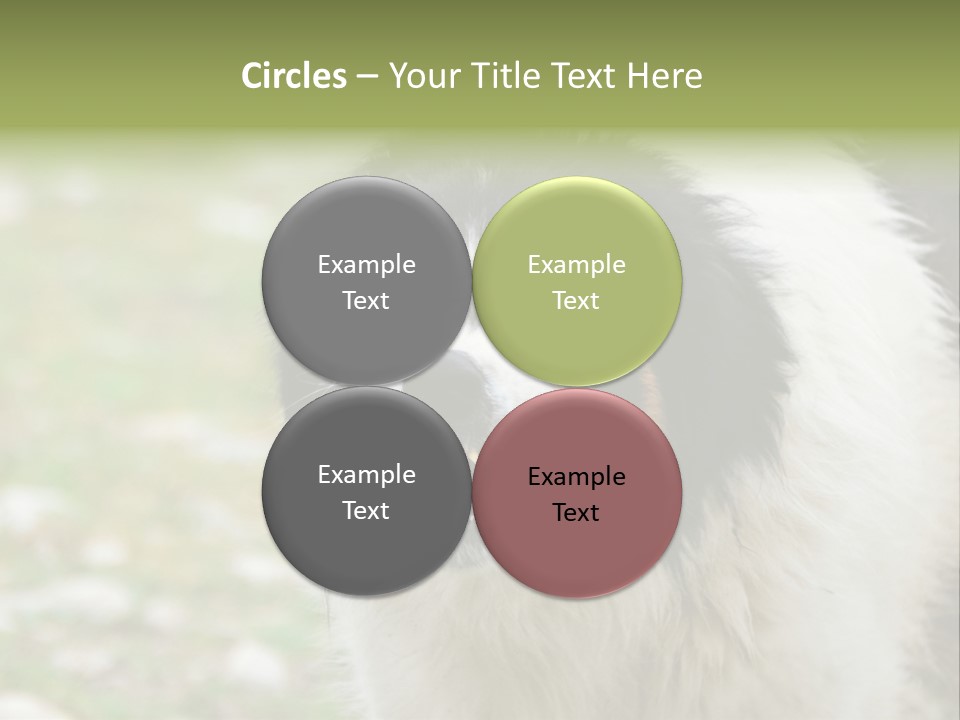 A Black And White Dog With His Mouth Open PowerPoint Template