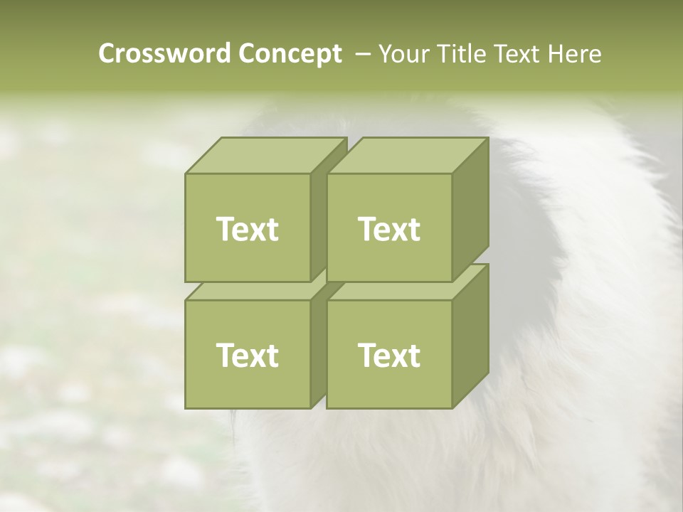 A Black And White Dog With His Mouth Open PowerPoint Template