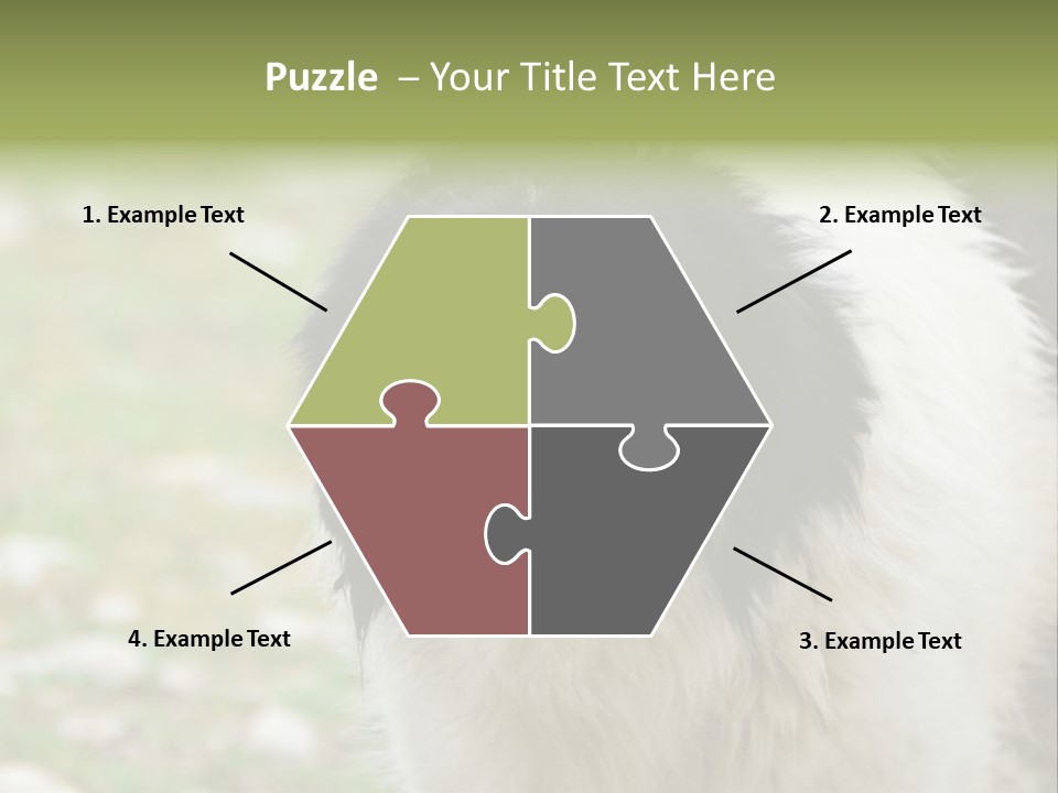 A Black And White Dog With His Mouth Open PowerPoint Template