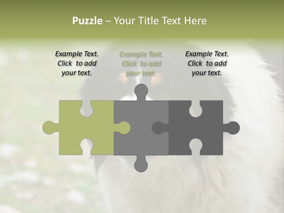 A Black And White Dog With His Mouth Open PowerPoint Template