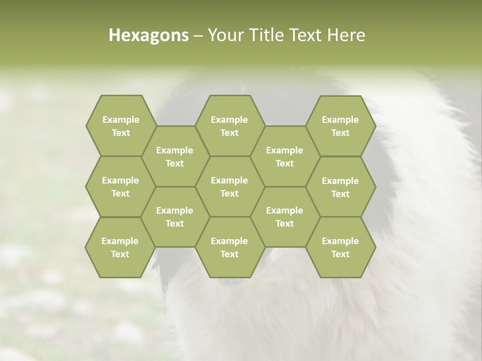 A Black And White Dog With His Mouth Open PowerPoint Template