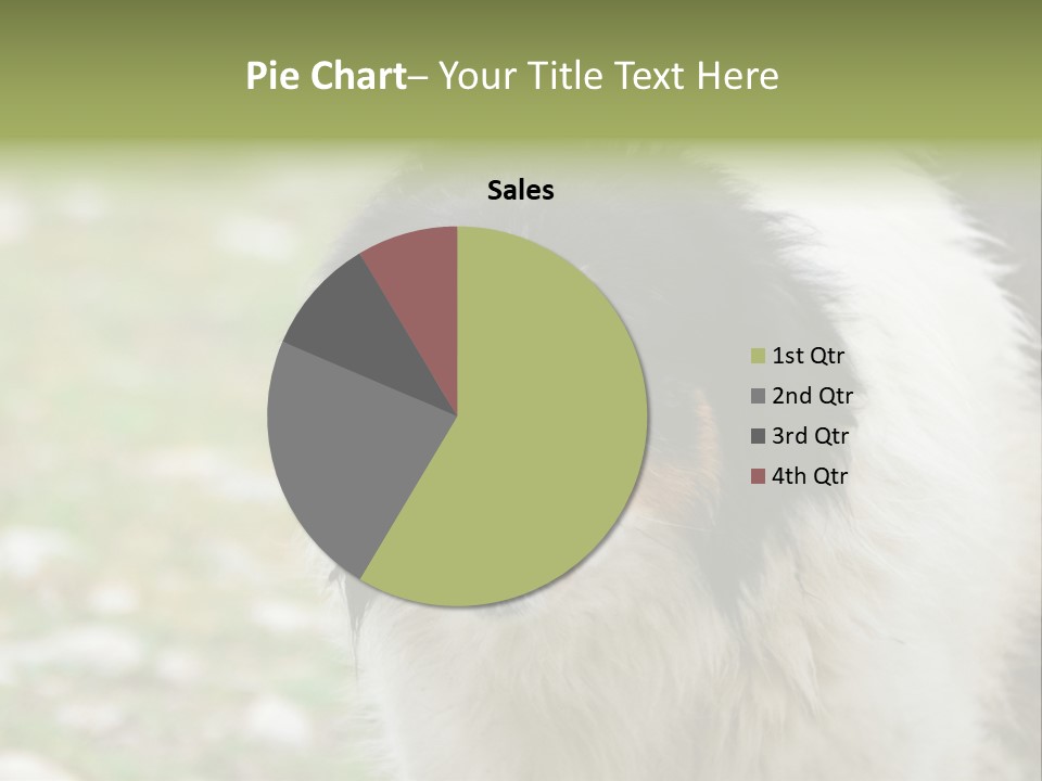 A Black And White Dog With His Mouth Open PowerPoint Template