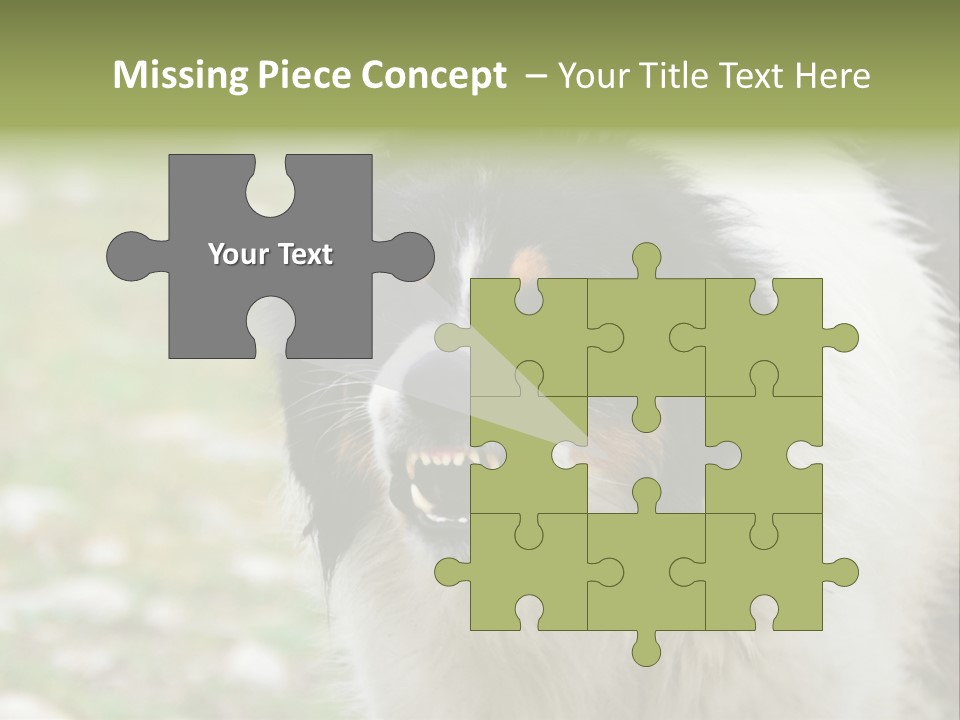 A Black And White Dog With His Mouth Open PowerPoint Template