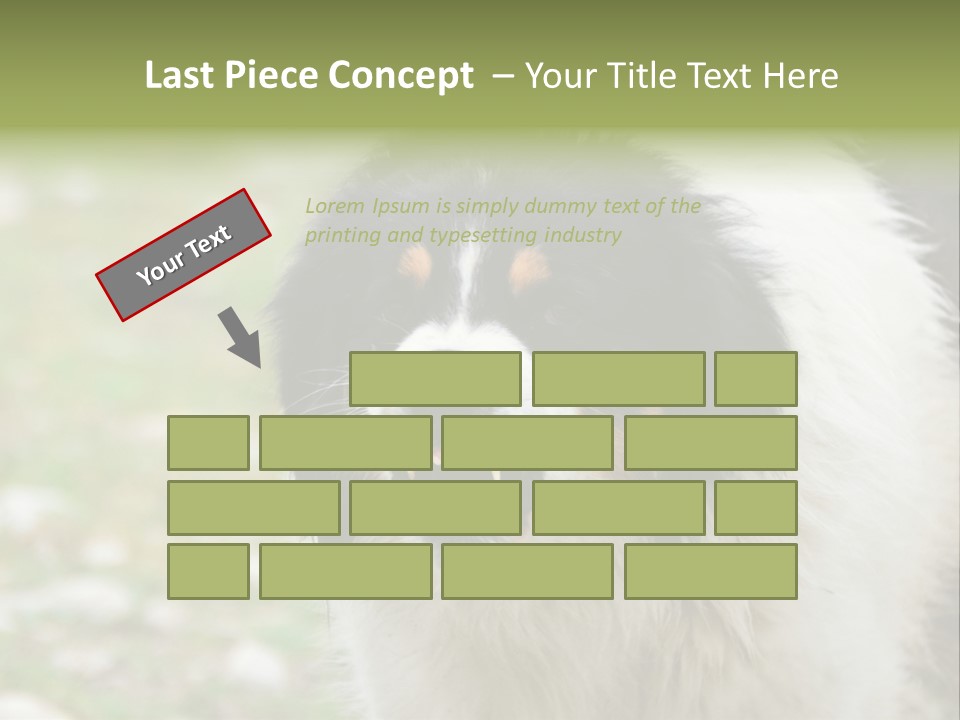 A Black And White Dog With His Mouth Open PowerPoint Template