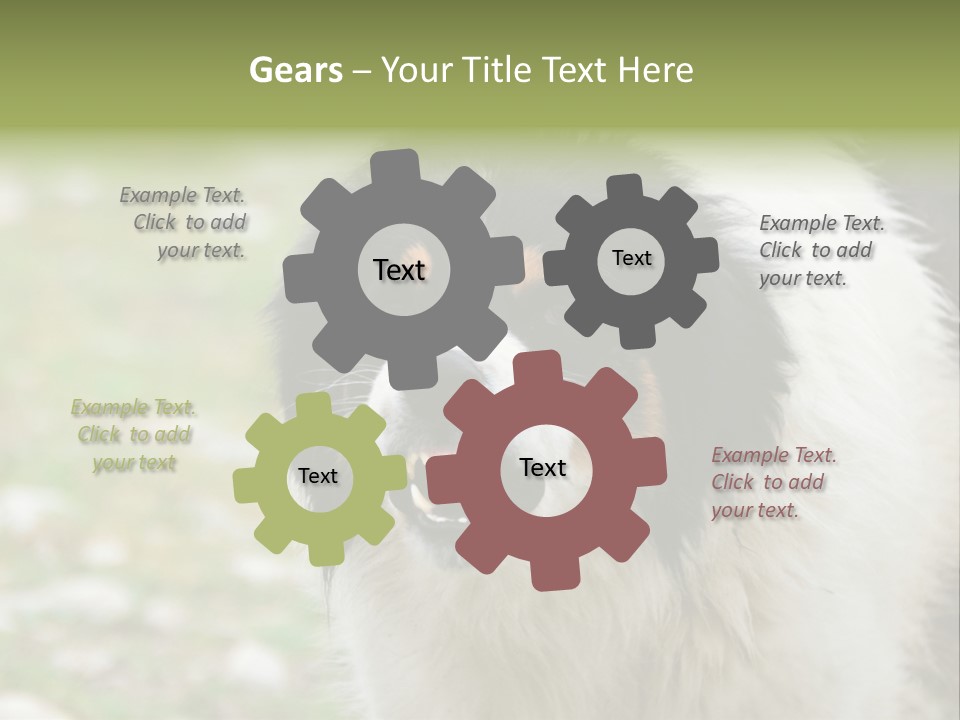 A Black And White Dog With His Mouth Open PowerPoint Template