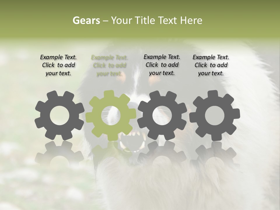 A Black And White Dog With His Mouth Open PowerPoint Template