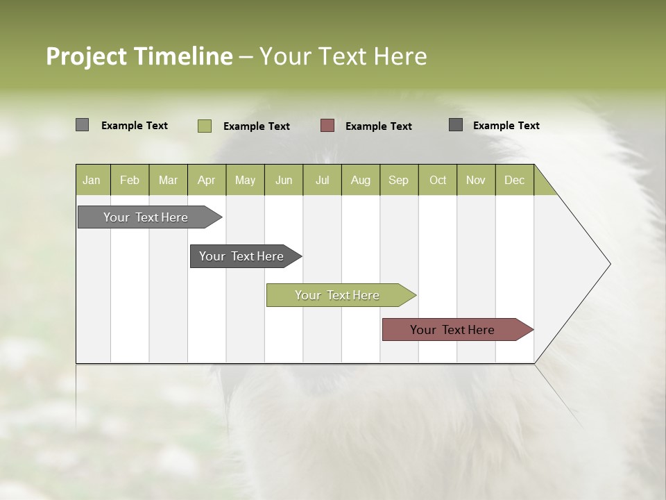 A Black And White Dog With His Mouth Open PowerPoint Template