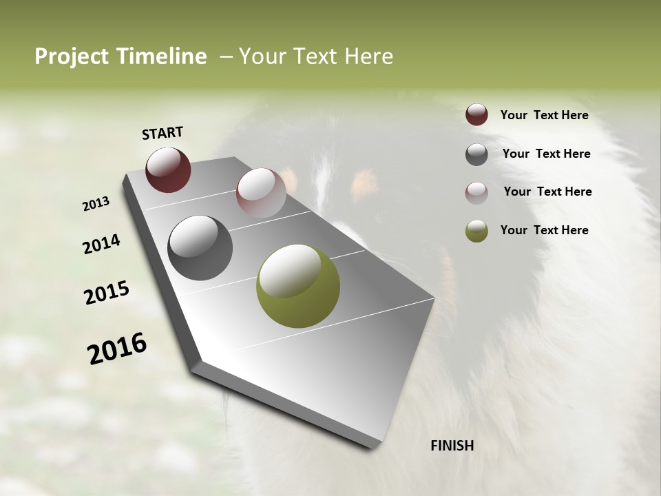 A Black And White Dog With His Mouth Open PowerPoint Template