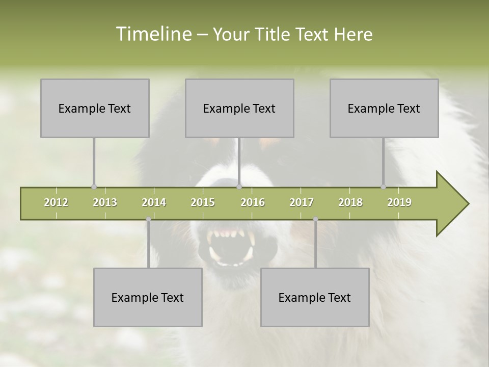 A Black And White Dog With His Mouth Open PowerPoint Template