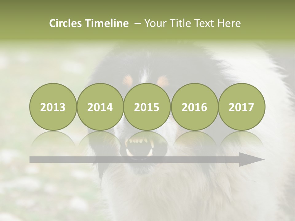 A Black And White Dog With His Mouth Open PowerPoint Template