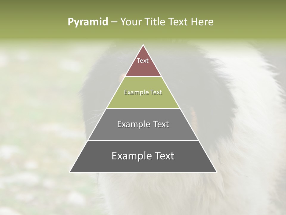 A Black And White Dog With His Mouth Open PowerPoint Template