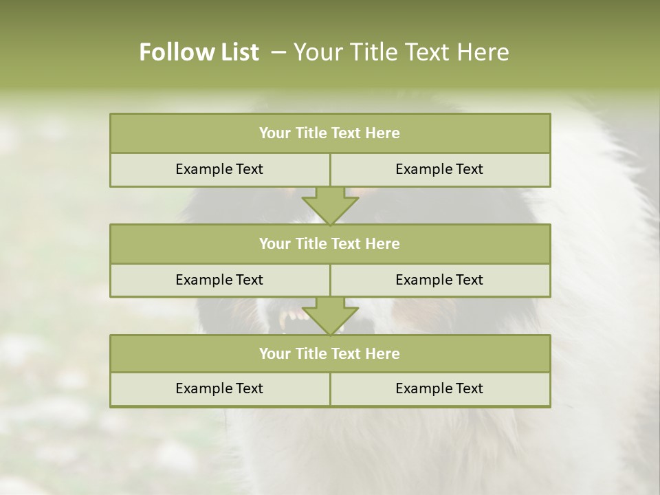 A Black And White Dog With His Mouth Open PowerPoint Template