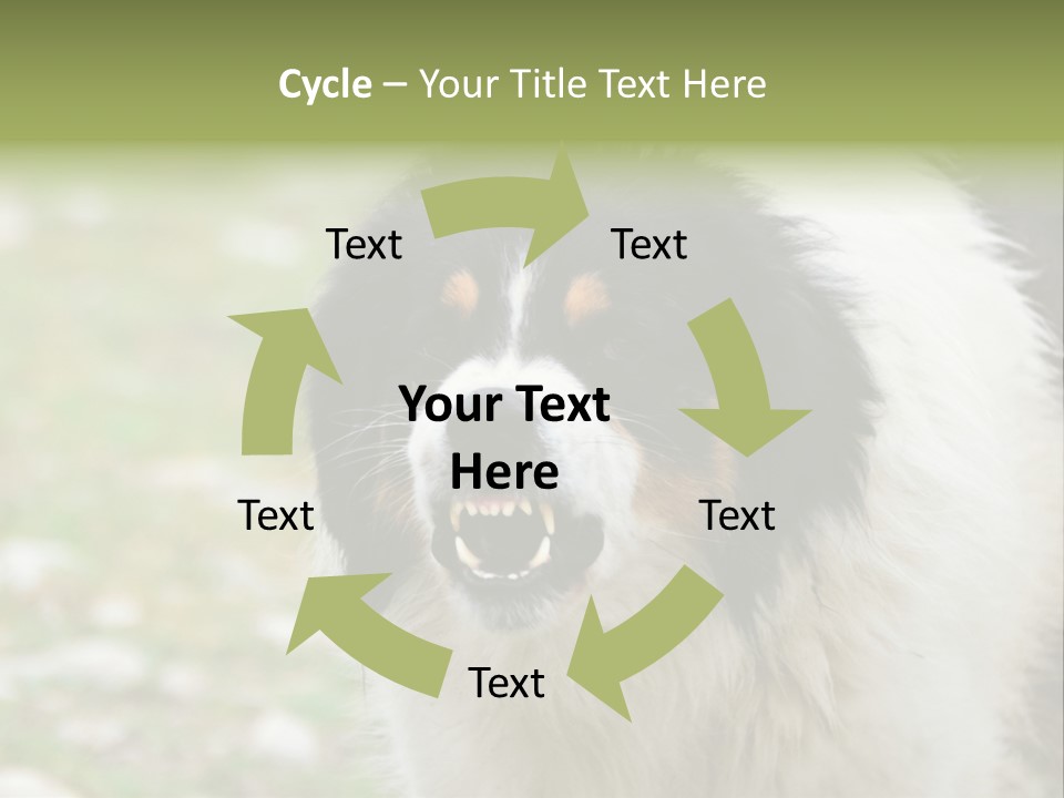 A Black And White Dog With His Mouth Open PowerPoint Template