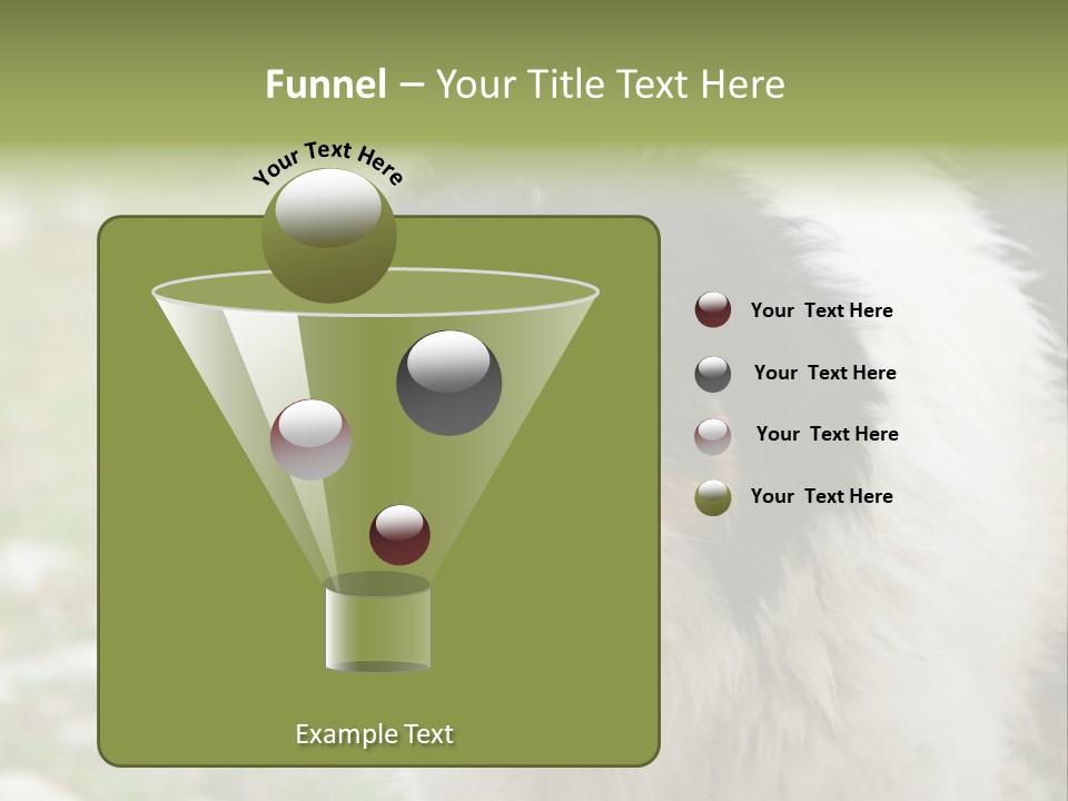 A Black And White Dog With His Mouth Open PowerPoint Template