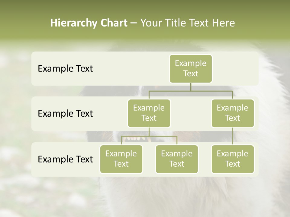 A Black And White Dog With His Mouth Open PowerPoint Template