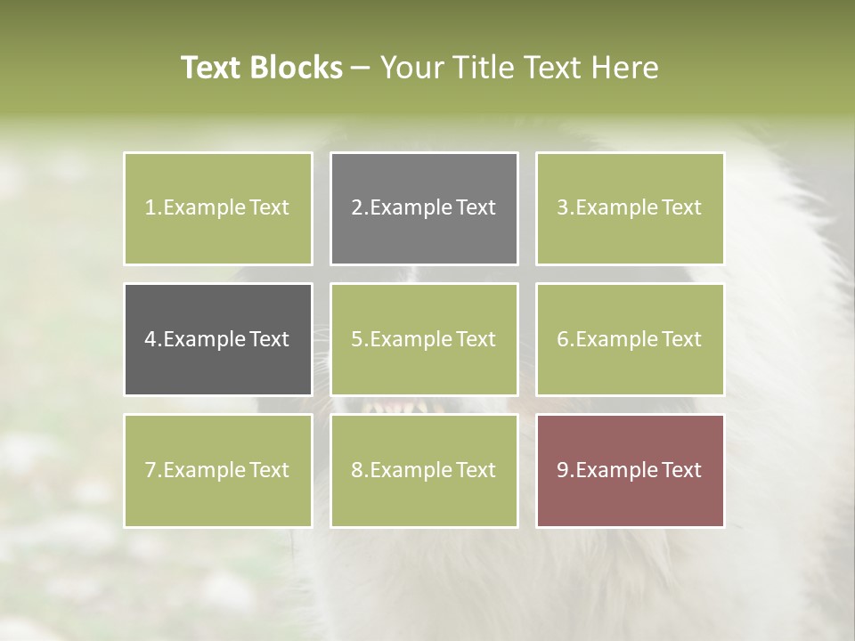 A Black And White Dog With His Mouth Open PowerPoint Template