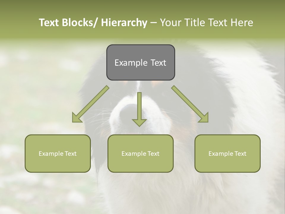 A Black And White Dog With His Mouth Open PowerPoint Template