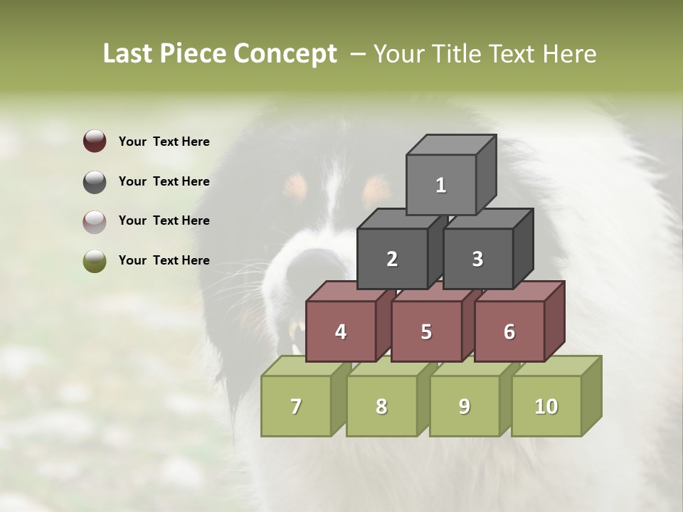 A Black And White Dog With His Mouth Open PowerPoint Template