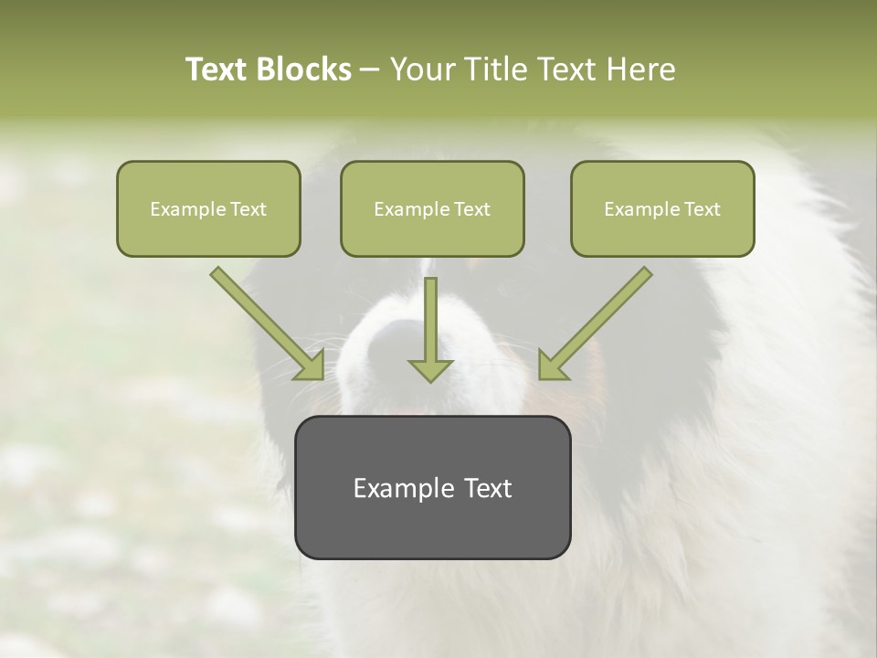 A Black And White Dog With His Mouth Open PowerPoint Template